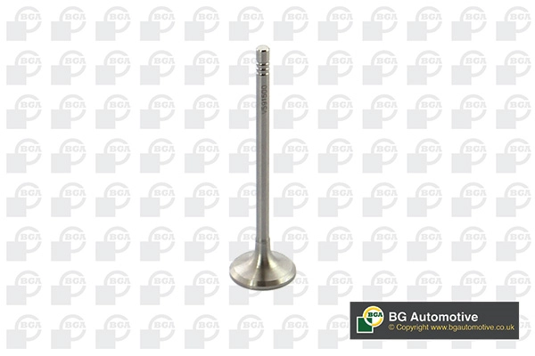 Intake Valve