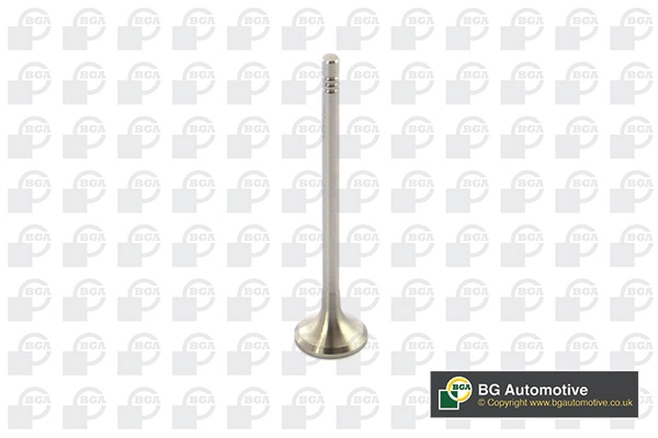 Exhaust Valve