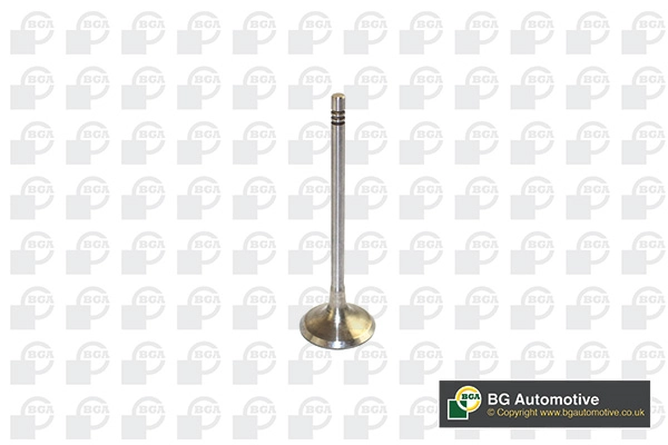 Intake Valve