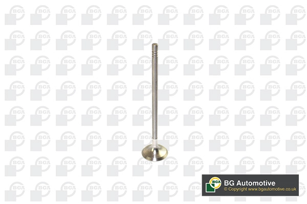 Exhaust Valve
