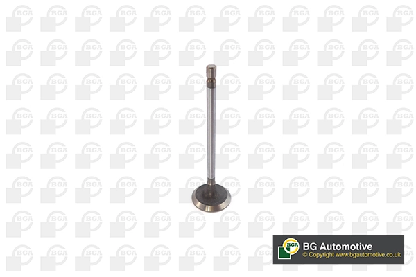 Intake Valve