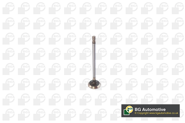 Exhaust Valve