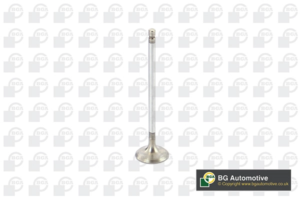 Intake Valve