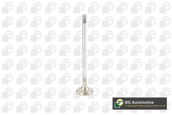 Exhaust Valve