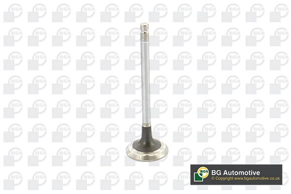 Exhaust Valve