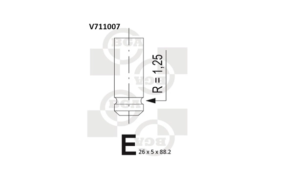 Intake Valve