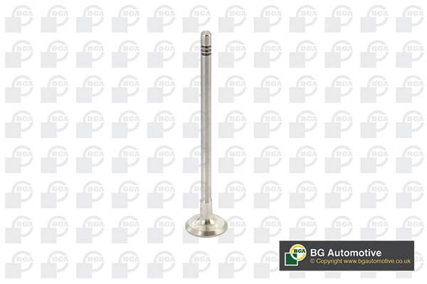 Exhaust Valve