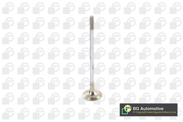 Exhaust Valve