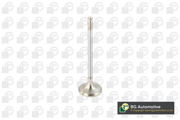 Exhaust Valve