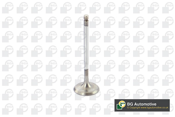 Intake Valve