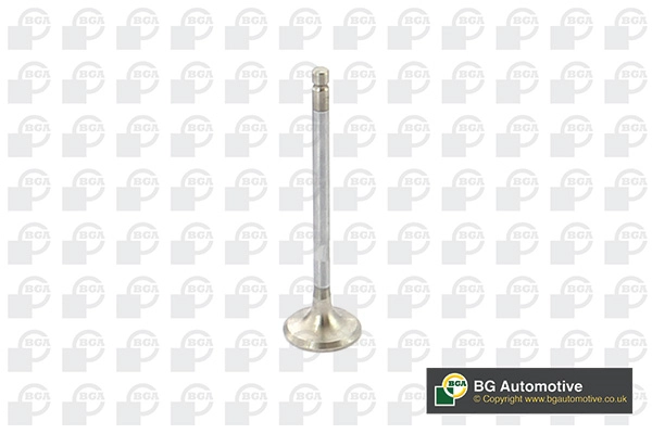 Exhaust Valve