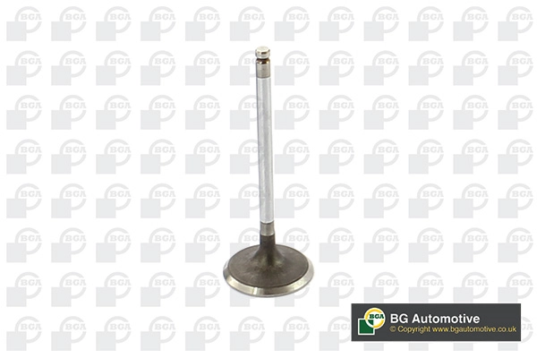Intake Valve