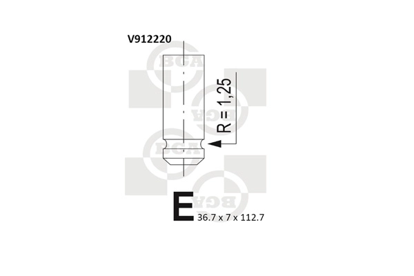 Intake Valve