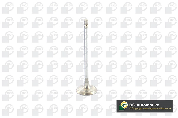Intake Valve