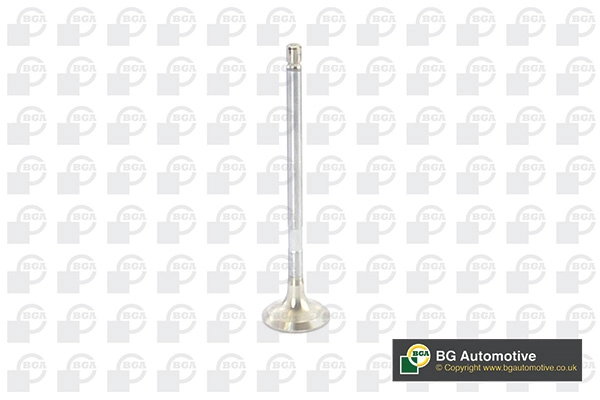 Exhaust Valve
