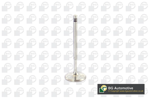 Intake Valve