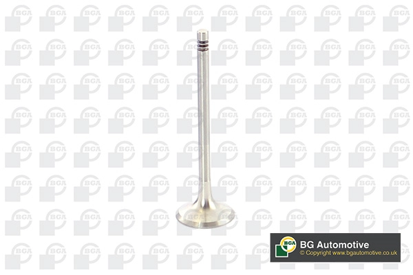 Exhaust Valve