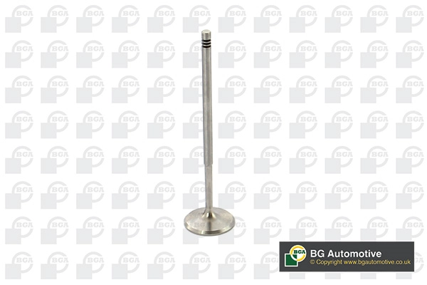 Intake Valve