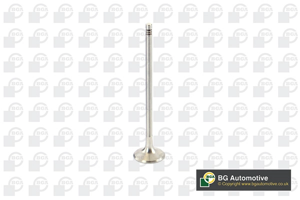 Exhaust Valve