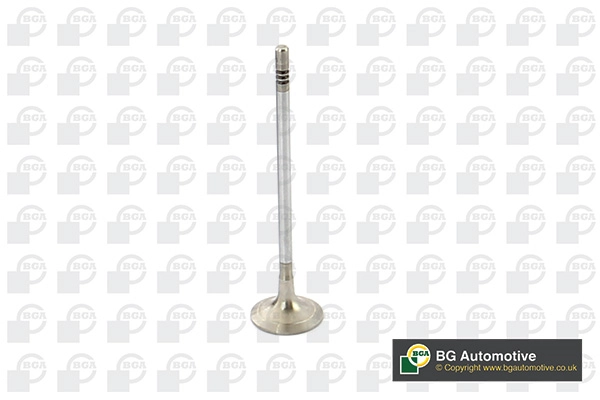 Exhaust Valve