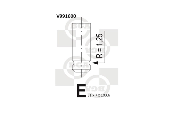 Exhaust Valve