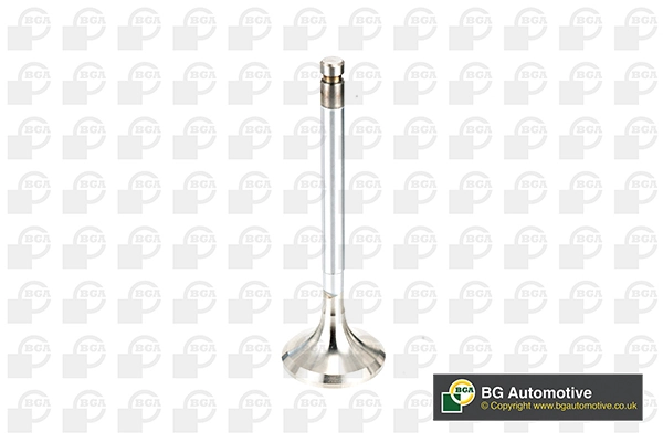 Exhaust Valve