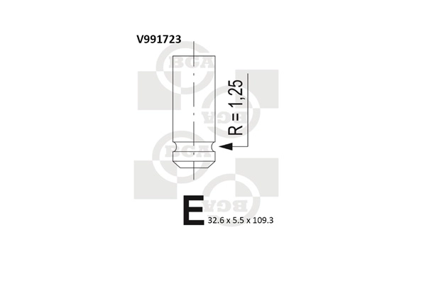Intake Valve