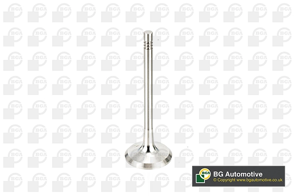 Exhaust Valve