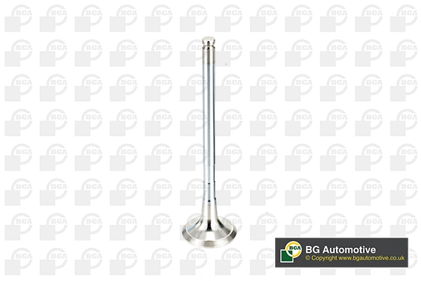 Exhaust Valve