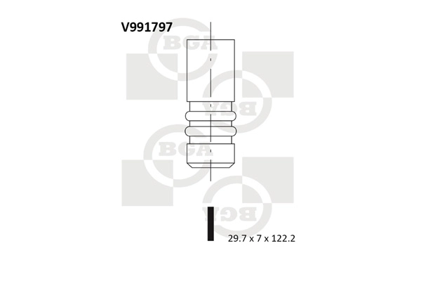 Intake Valve