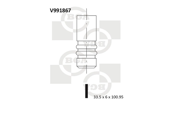 Intake Valve
