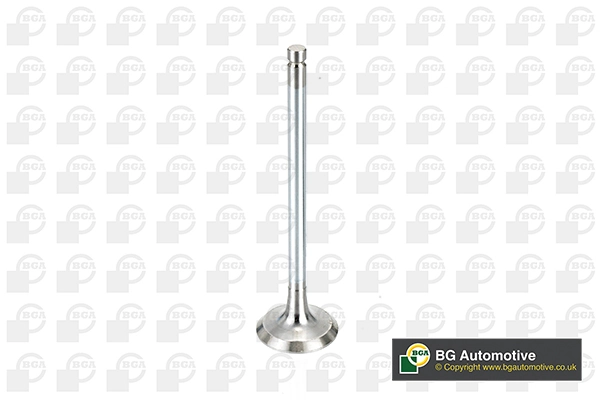 Intake Valve