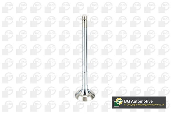 Exhaust Valve