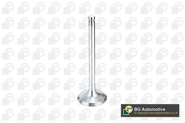 Intake Valve