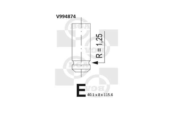 Intake Valve