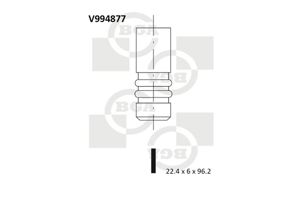 Exhaust Valve