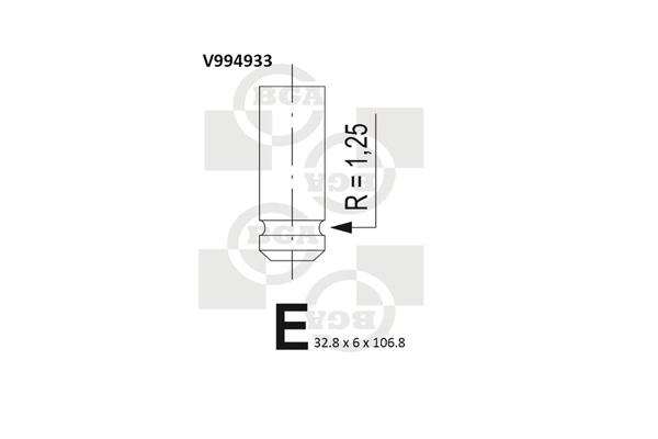 Intake Valve