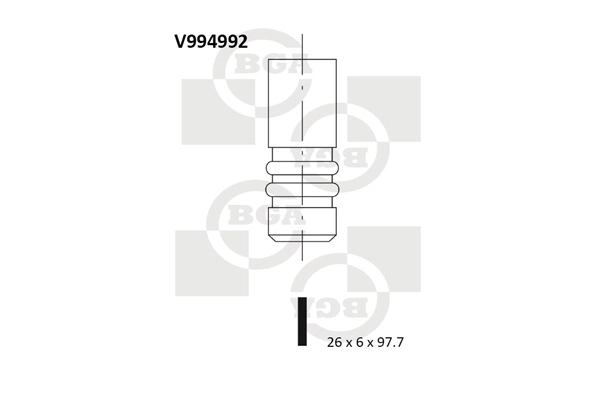 Intake Valve