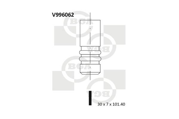 Exhaust Valve