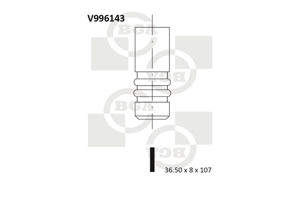 Intake Valve