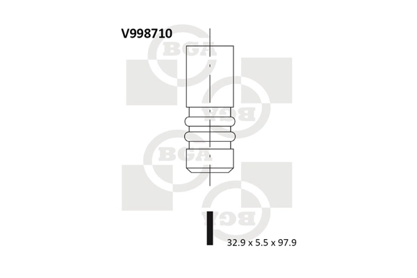 Intake Valve