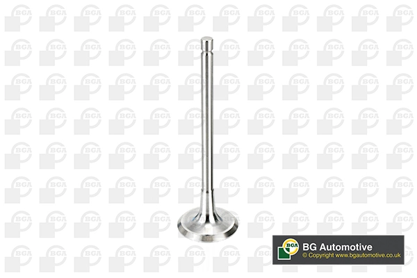 Intake Valve