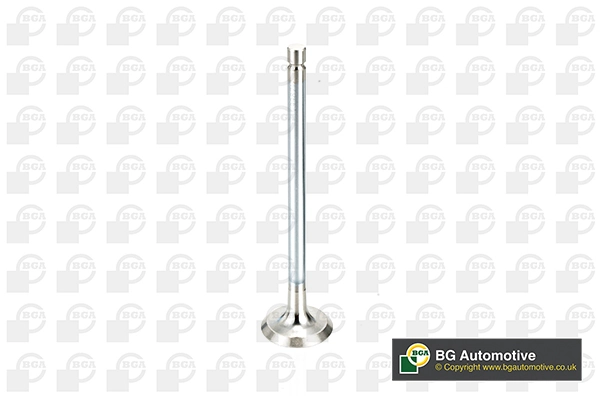 Exhaust Valve