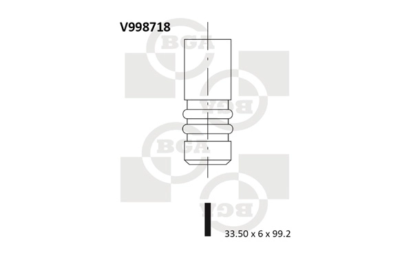 Intake Valve