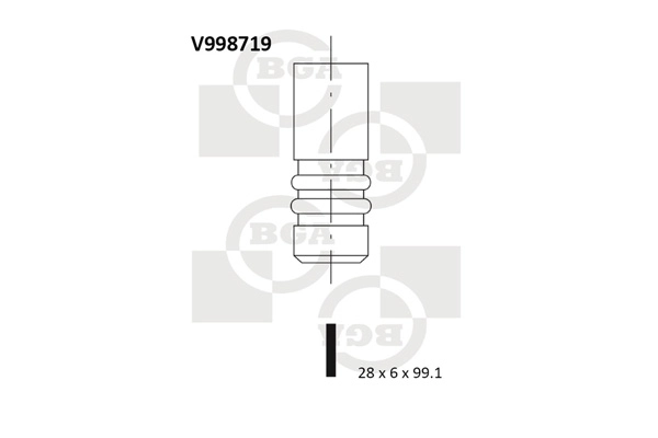Exhaust Valve