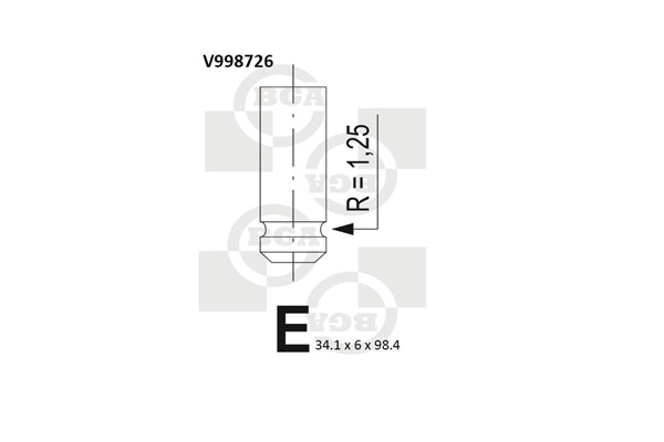 Intake Valve