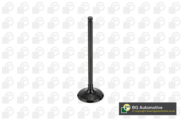 Intake Valve