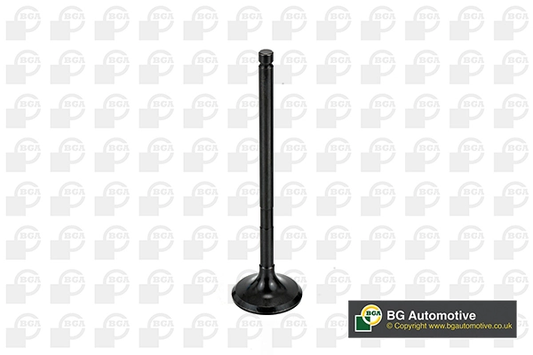 Exhaust Valve