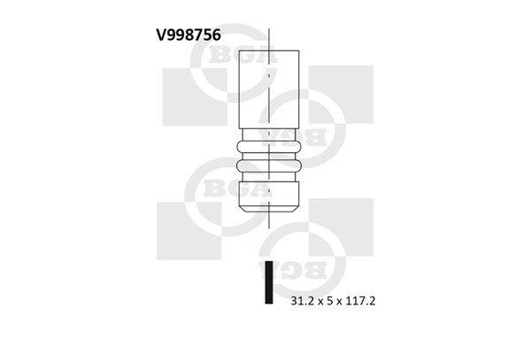 Intake Valve