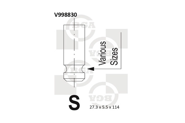 Exhaust Valve